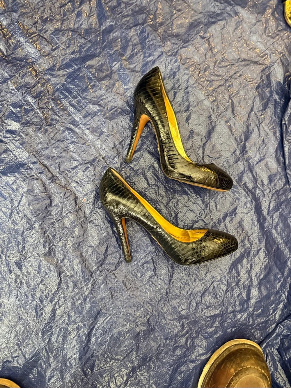 bebe Black Croc-Embossed Pointed Toe Pumps